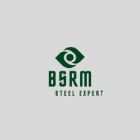 Steel Expert BSRM logo - Similar company to Technotrain (Pty) Ltd