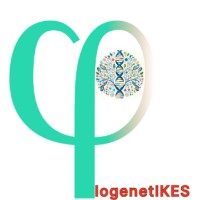 PhylogenetIKES logo - Similar company to Association Tunisienne De Psycho Neuro Endocrino Immunologie (At-Pnei)