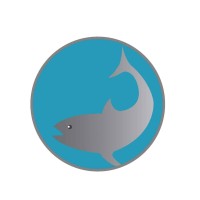 La Bonite Marine Services Co Ltd logo - Similar company to Esolve Creative Limited