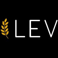 LEV Consultoria logo - Similar company to Levconsult