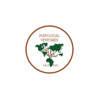 Push Local Ventures logo - Similar company to Frost Forward Digital Studio