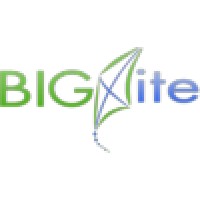 BigKite Consulting Inc. logo - Similar company to Gestsure