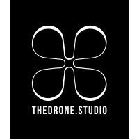 thedrone.studio GmbH logo - Similar company to Camflite-Suas Manufacture