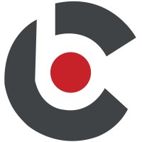BiCS Infotech logo - Similar company to Techleaper Systems Pvt. Ltd.