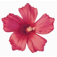 San Antonio Botanical Garden logo - Similar company to Km Builders