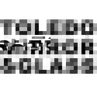 Toledo Mirror & Glass logo - Similar company to Vm Systems Inc