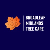 Broadleaf Midlands Tree Care logo - Similar company to Rotheram Limited