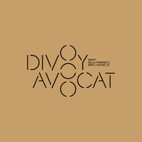 DIVOY AVOCAT logo - Similar company to Banga Assam H. E. & Associates