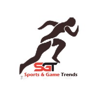 Sports and Games logo - Similar company to Digiservnetwork