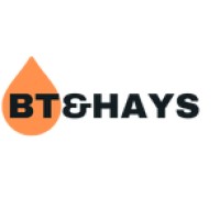 BT & HAYS CONSULTING LTD logo - Similar company to Bunmi Innovation Challenge