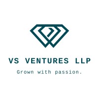 VS Ventures logo - Similar company to Massive Tech Lab