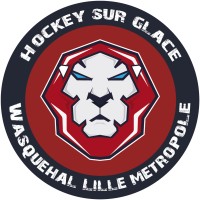 Lions de Wasquehal Lille Métropole logo - Similar company to Bruges 33 Handball