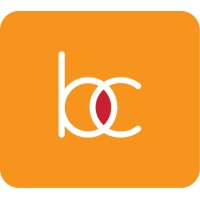 Bartz Consulting LLC logo - Similar company to Experience Catalysts