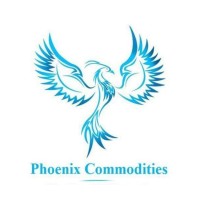 Phoenix Commodities logo - Similar company to Perception & Quant Research Private Limited