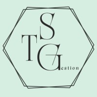 STGestion logo - Similar company to Gs Digital