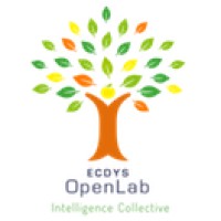 ECDYS logo - Similar company to Pkparis