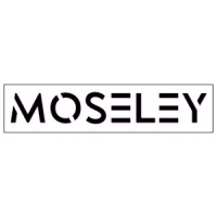 Moseley Noise logo - Similar company to Tiny Desk Studios