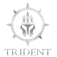 Trident Group UAE logo - Similar company to Trident Marine Ltd
