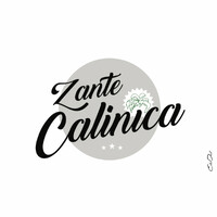 Zante Calinica Hotels logo - Similar company to Nafplio Holidays