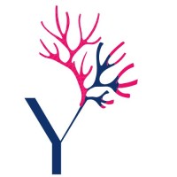 who stop's you ? logo - Similar company to Aumento