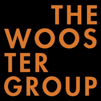 The Wooster Group logo - Similar company to Enlite