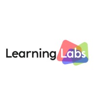 Learning Labs & FlashAcademy® logo - Similar company to Lilli