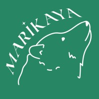 Marikaya Digital logo - Similar company to Lazy Susan