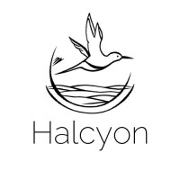 Halcyon Therapy LLC logo - Similar company to Root To Branch