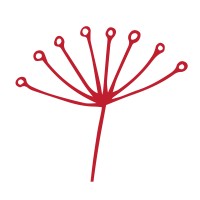 Praia do Canal Nature Retreat logo - Similar company to Mit Penha