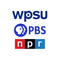 WPSU logo - Similar company to Winstorm