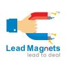 Lead Magnets logo - Similar company to Salessystem
