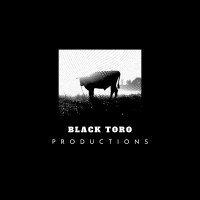 Black Toro Productions logo - Similar company to Motioncore Studios Llp