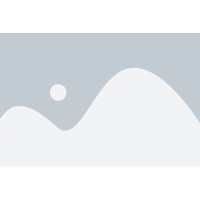 1305119 B.C. LTD. logo - Similar company to Forbes It Solutions Ltd.