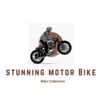 Stunning Motor Bike logo - Similar company to Ducati Brunei