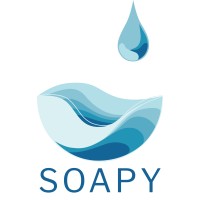 Soapy - Clean Hands, Clean Data logo - Similar company to Frimscan Wordpress  Security