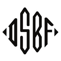Det Ska Bara Funka logo - Similar company to Loopia Partner