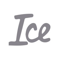 ICE Research logo - Similar company to Solumarketing