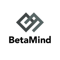 BetaMind, Inc. logo - Similar company to Lm3 Technologies