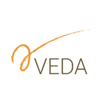 Veda Consultancy logo - Similar company to Dazzle, Business Experience Center