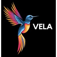 VELA designs logo - Similar company to Orca Business Solutions Pty Ltd