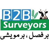 B2B Surveyors logo - Similar company to Arview | Custom Software Development