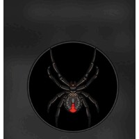 BlackWidow Australia logo - Similar company to Circular Beds