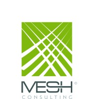 MESH Consulting, LLC logo - Similar company to Mesh Project Group