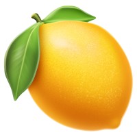 Lemon Slice (YC W24) logo - Similar company to Medeloop