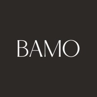 BAMO logo - Similar company to 10Sb