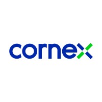 CORNEX NEW ENERGY CO., LTD. logo - Similar company to Immersa Limited