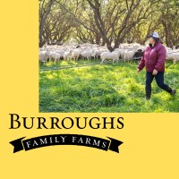Burroughs Family Farms logo - Similar company to Green Prophet