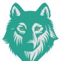 IFPSTM logo - Similar company to Apor Formation
