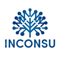 Inconsu GmbH logo - Similar company to Valuesque