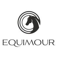 Equimour logo - Similar company to Tzs Internet